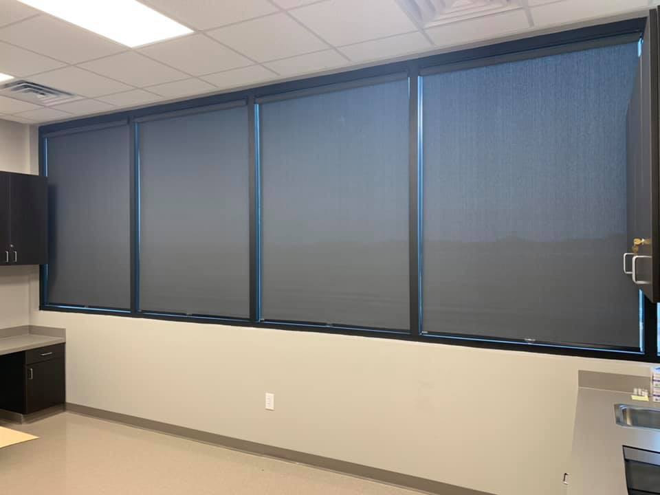 Norman Cordless Roller Shades in League City, TX