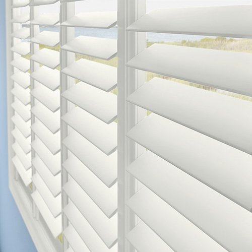 Shutters Banner Image